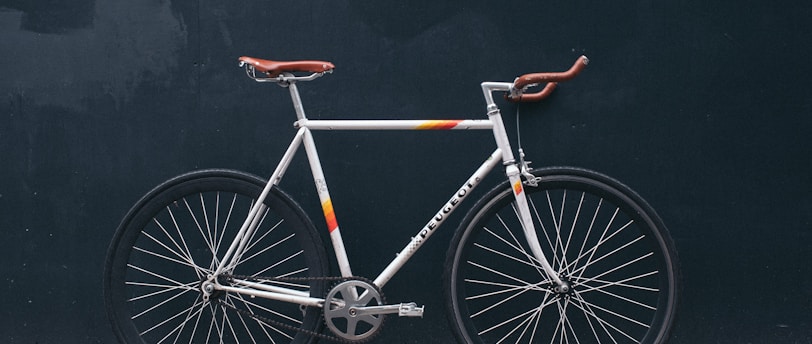 Exploring the World of E-Bikes: A Comprehensive Guide to Brands, Pros, and Cons